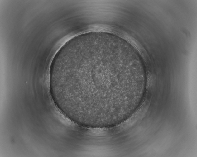 X0000111000836200906261457