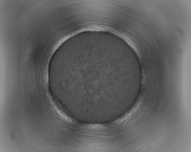 X0000111000837200906261457