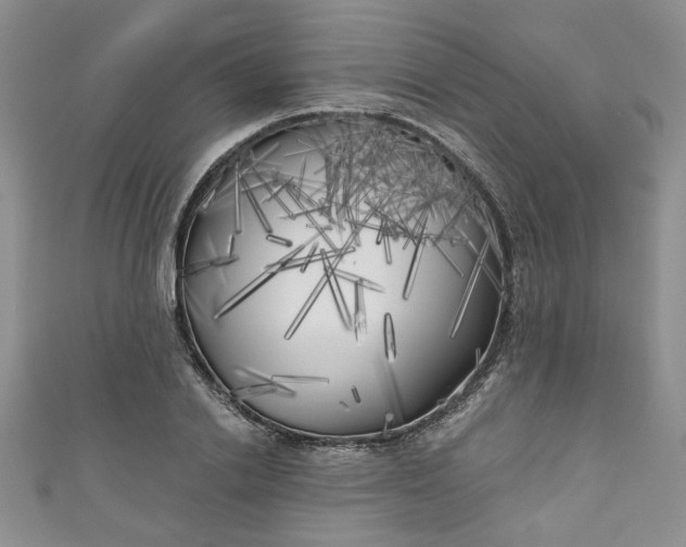 X0000111000838200906261457