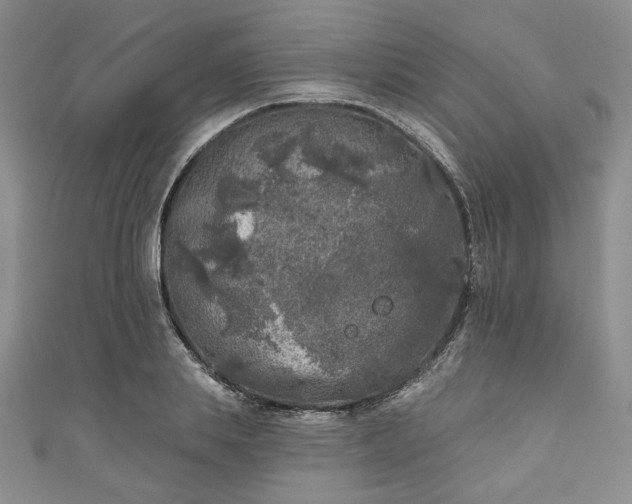 X0000111000839200906261457