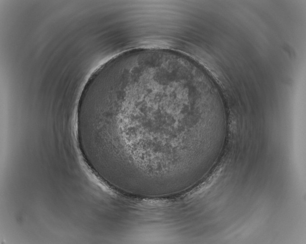 X0000111000840200906261457