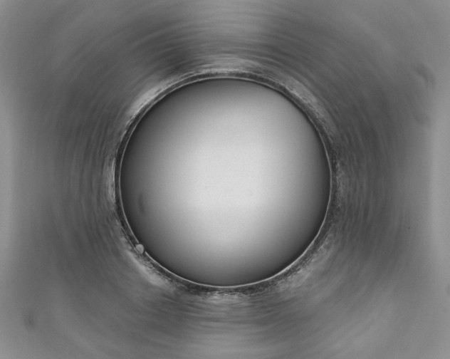 X0000111000842200906261457