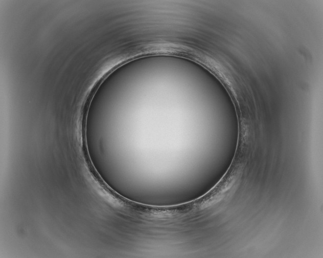 X0000111000843200906261457