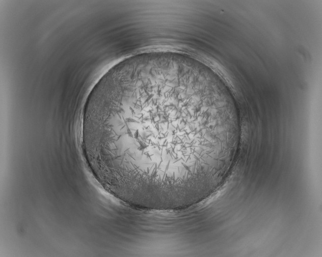 X0000111000844200906261457
