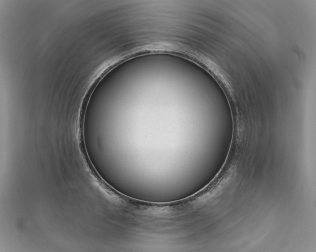 X0000111000845200906261457