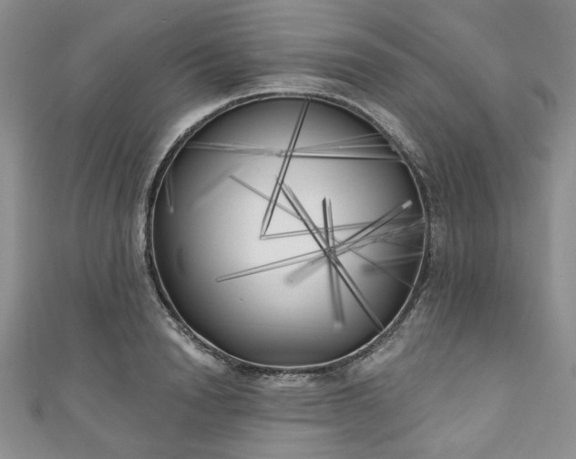 X0000111000846200906261457