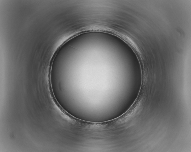 X0000111000847200906261457