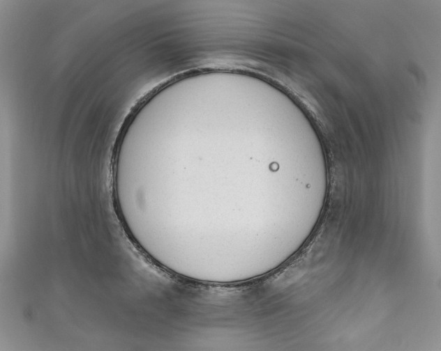 X0000111000848200906261457