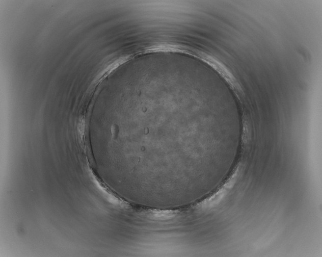 X0000111000849200906261457