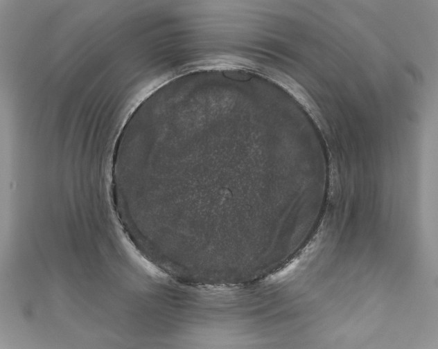 X0000111000850200906261457