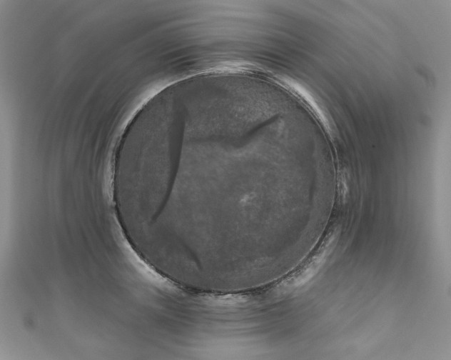 X0000111000851200906261457