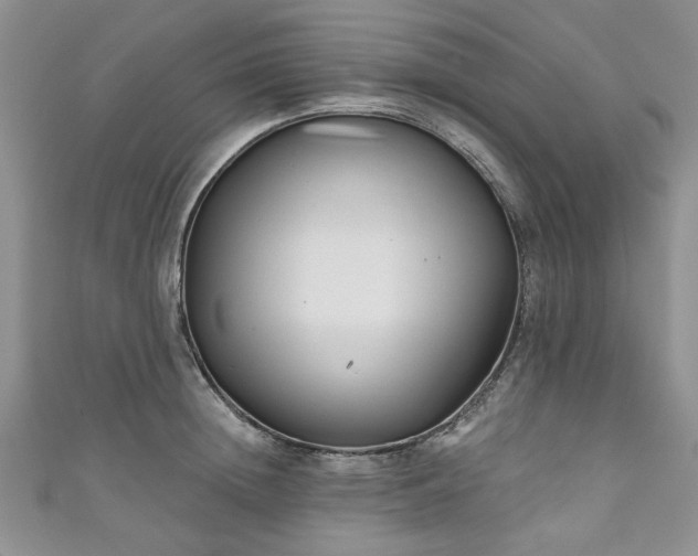 X0000111000852200906261457