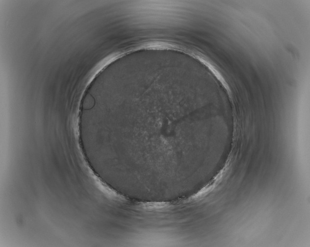 X0000111000853200906261457