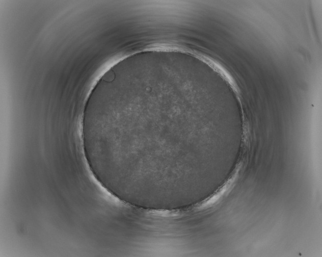 X0000111000855200906261457