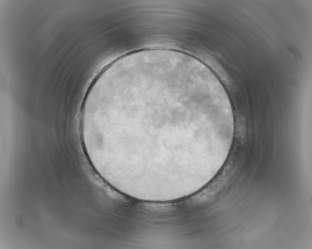 X0000111000856200906261457