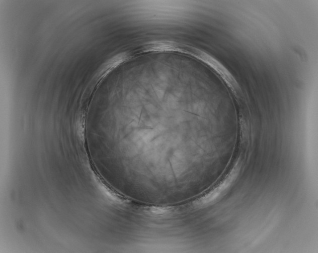 X0000111000857200906261457