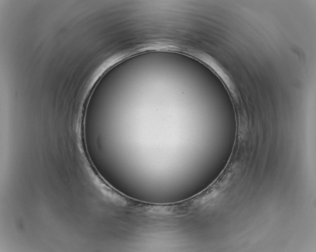 X0000111000861200906261457