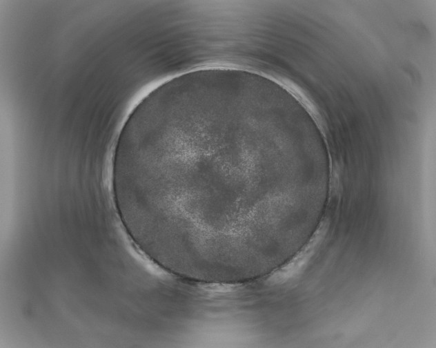 X0000111000862200906261457