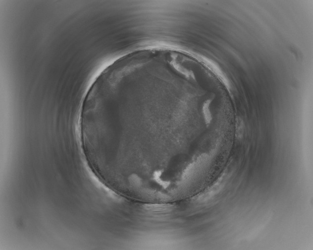 X0000111000863200906261457