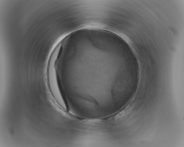 X0000111000864200906261457