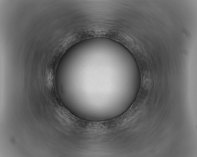 X0000111000866200906261456