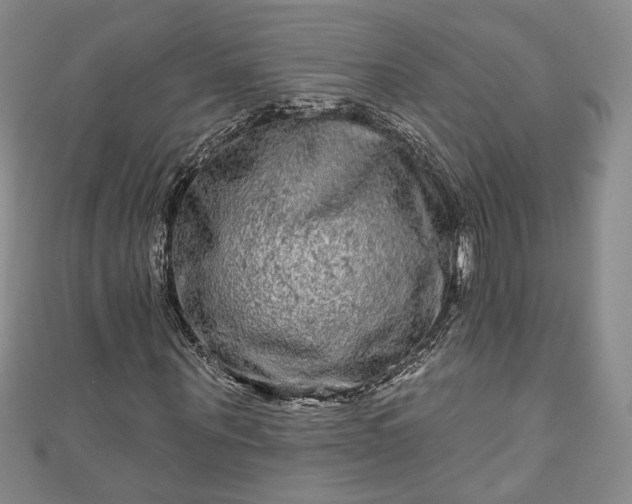 X0000111000867200906261456