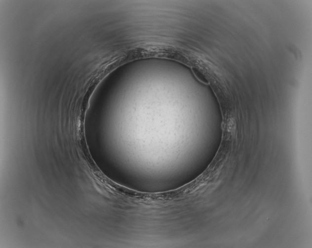 X0000111000868200906261456