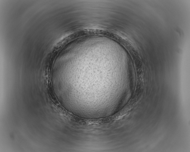 X0000111000870200906261456