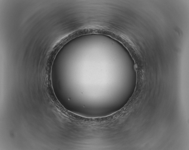 X0000111000872200906261456