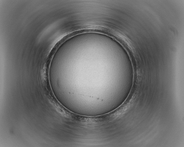 X0000111000875200906261456