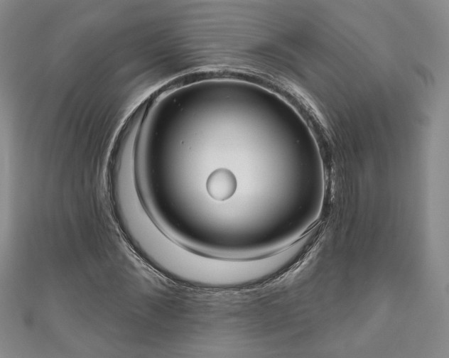 X0000111000876200906261456