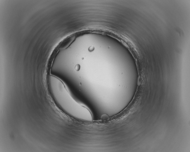 X0000111000880200906261456