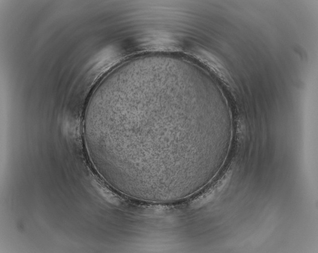 X0000111000881200906261456