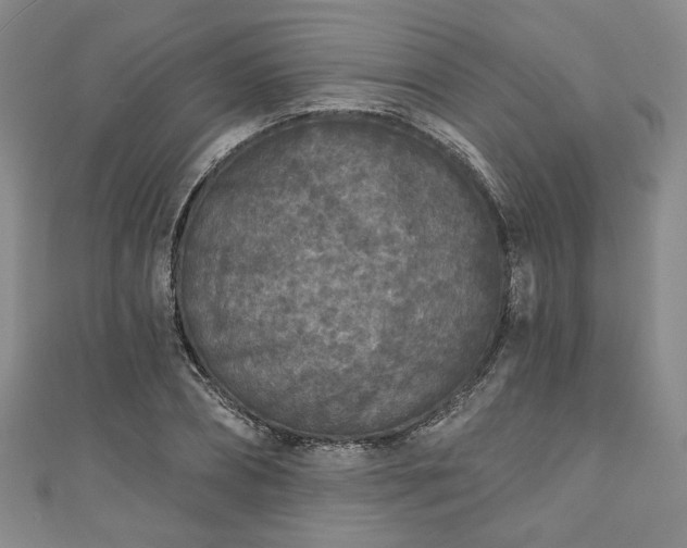 X0000111000882200906261456