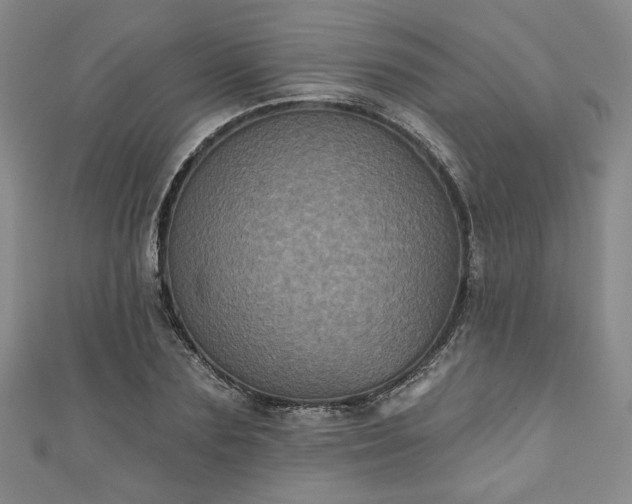 X0000111000883200906261456