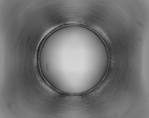 X0000111000884200906261456