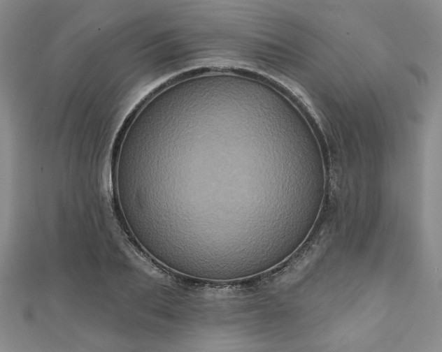 X0000111000887200906261456