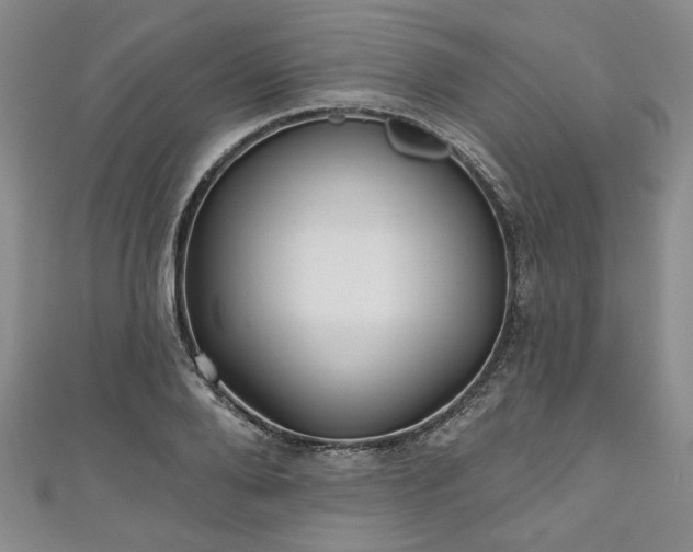 X0000111000888200906261456