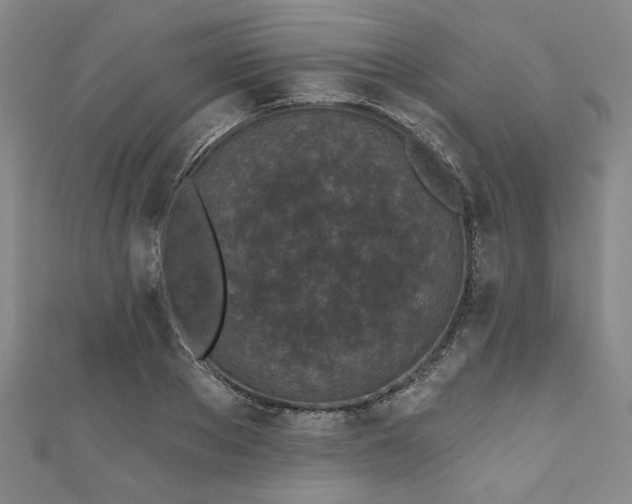 X0000111000889200906261456