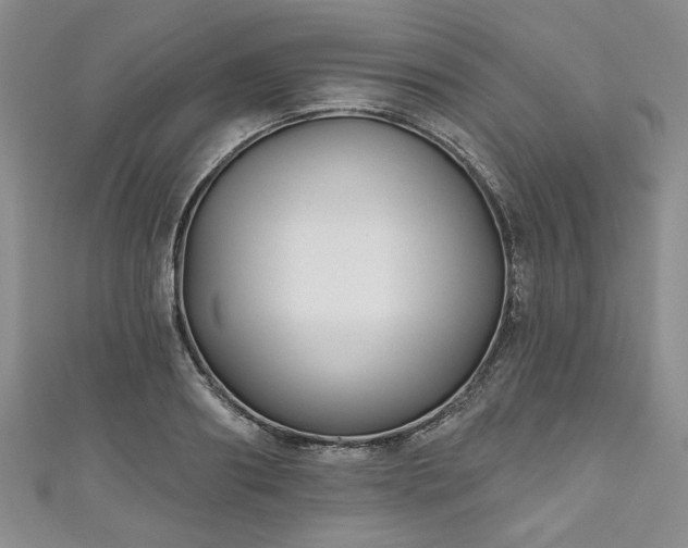 X0000111000890200906261456