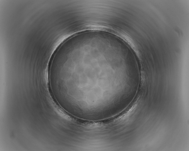 X0000111000891200906261456