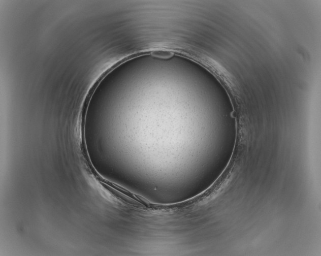 X0000111000892200906261456