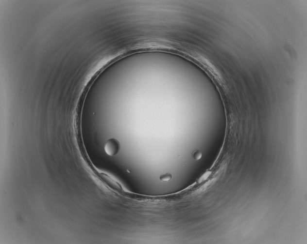 X0000111000893200906261456