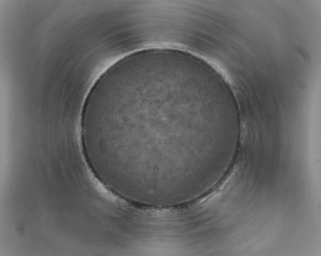 X0000111000895200906261456