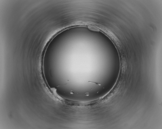 X0000111000896200906261456