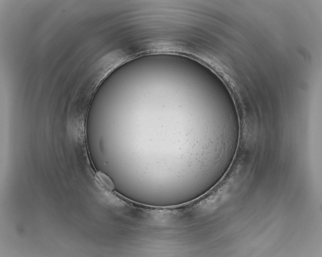 X0000111000897200906261456