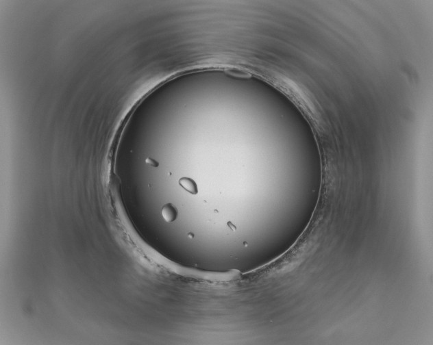 X0000111000900200906261456