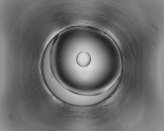 X0000111000901200906261456