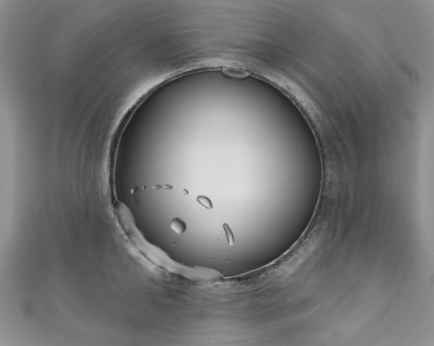 X0000111000902200906261456