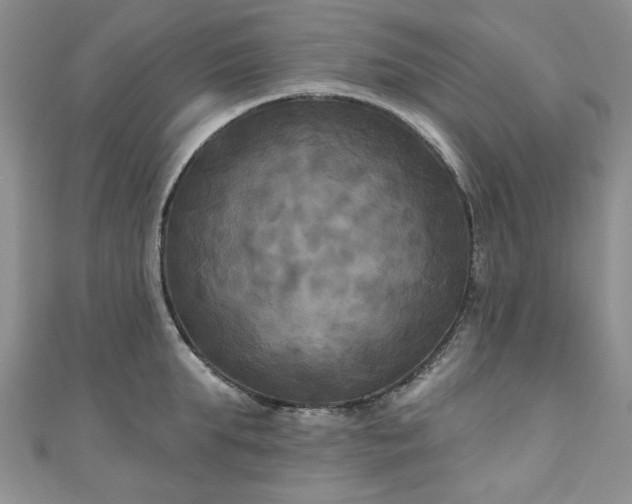 X0000111000903200906261456